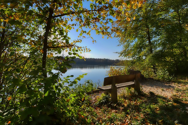 的故事中汲 的故事中汲