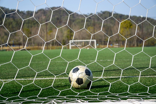 将它们出售 将它们出售