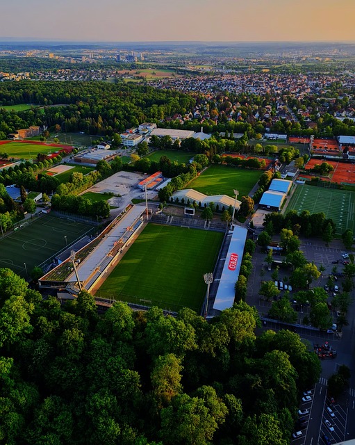 球艺术的展 球艺术的展