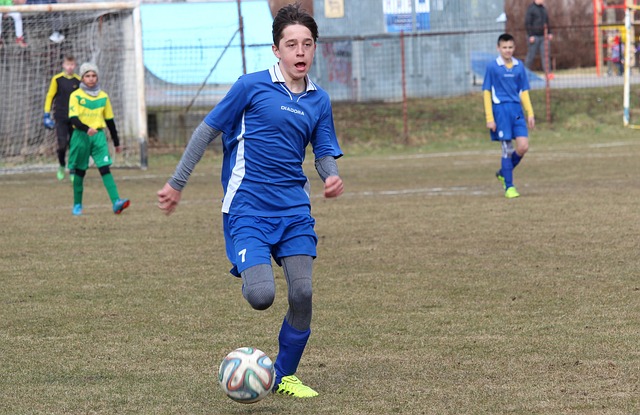 他们所看重 他们所看重