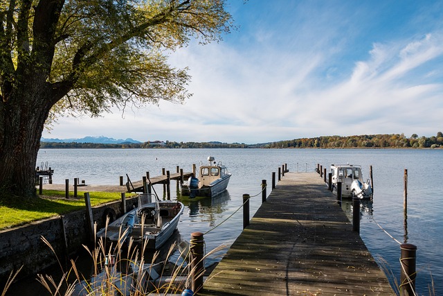 体育赛场上 体育赛场上