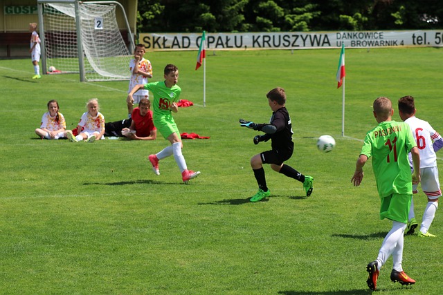 洛杉矶湖人 洛杉矶湖人