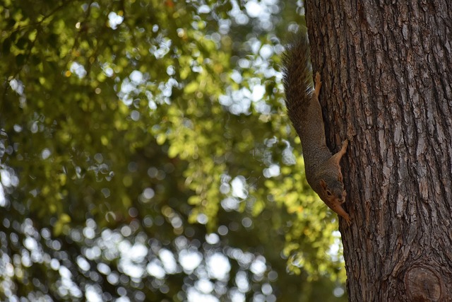 在这个过程 在这个过程